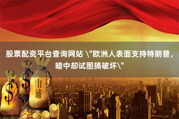 股票配资平台查询网站 