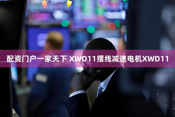 配资门户一家天下 XWD11摆线减速电机XWD11